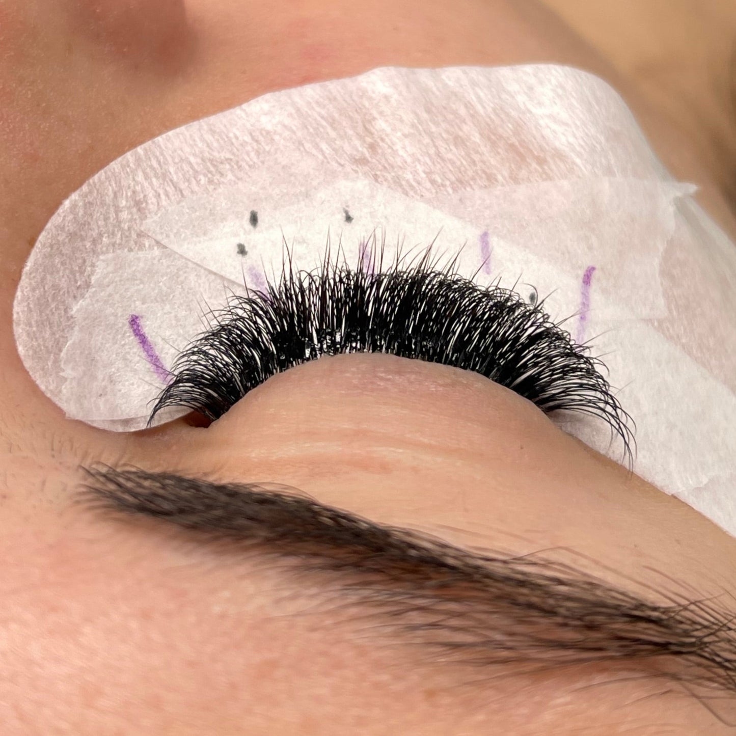 3D 0.07 D Curl - Pre Made Short Stem Fans - XL Tray