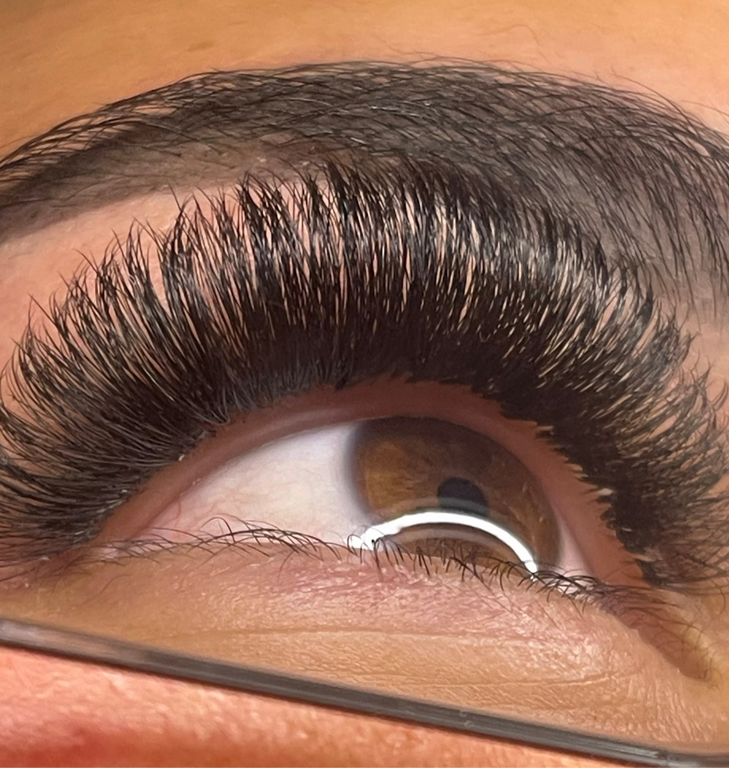 6D 0.05 D Curl - Pre Made Short Stem Fans - XL Tray