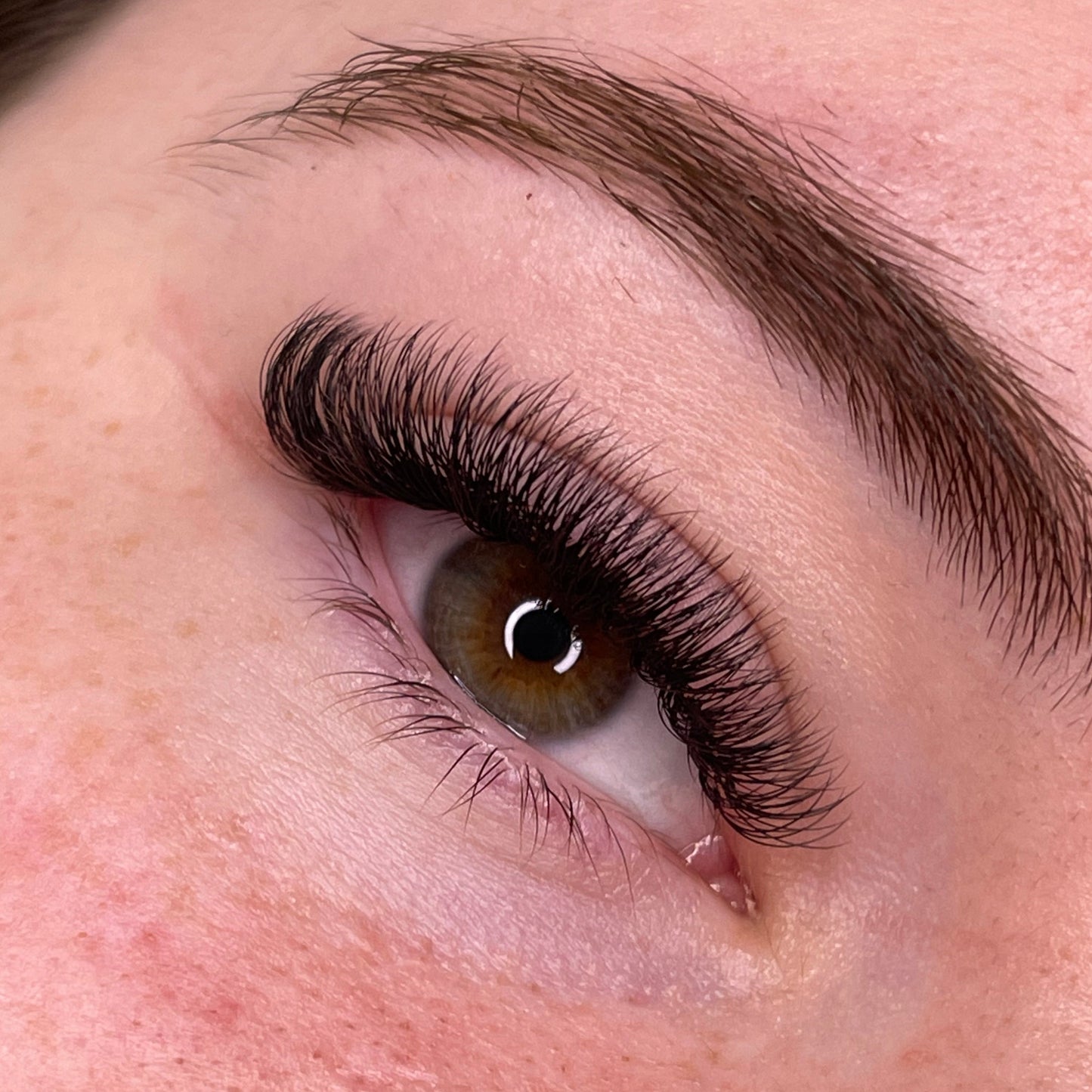 3D 0.07 D Curl - Pre Made Short Stem Fans - XL Tray