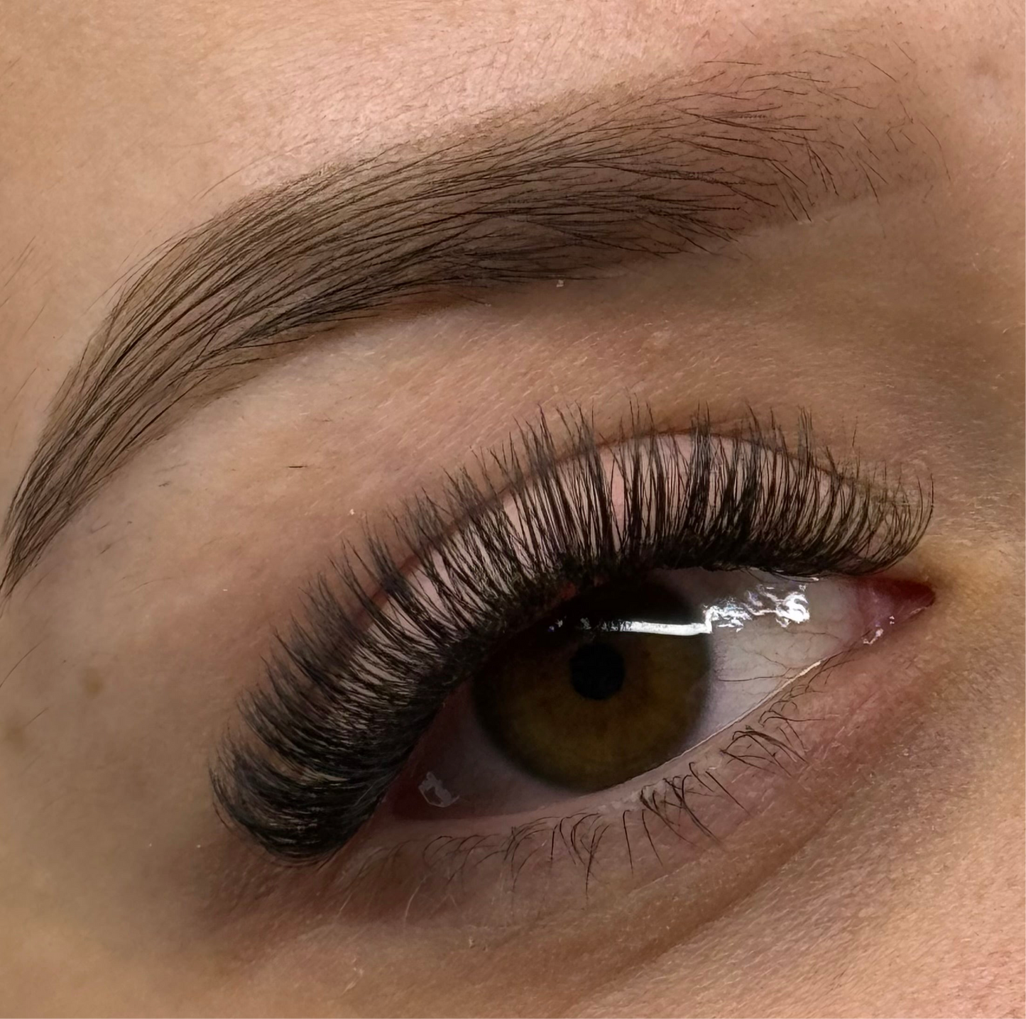 5D 0.05 D Curl - Pre Made Short Stem Fans - XL Tray