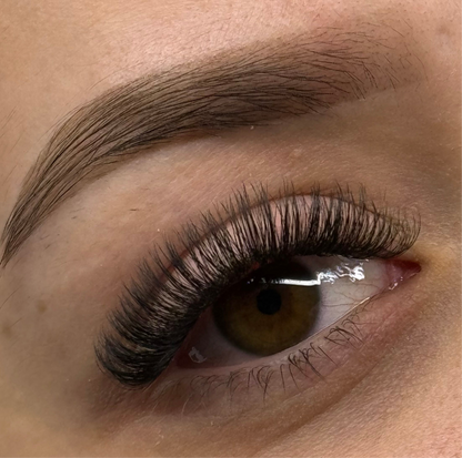 5D 0.05 D Curl - Pre Made Short Stem Fans - XL Tray