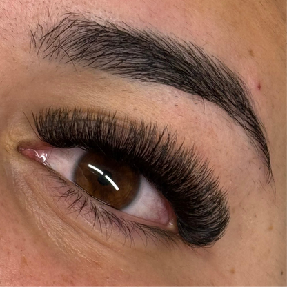 5D 0.05 D Curl - Pre Made Short Stem Fans - XL Tray